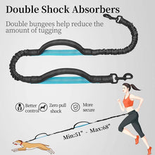 Load image into Gallery viewer, Hands Free Dog Leash With Zipper Pouch