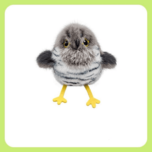 Load image into Gallery viewer, Electric Flutter Bird Cat Toy