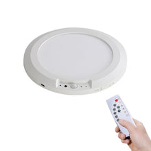 Load image into Gallery viewer, Motion Sensor Ceiling Light