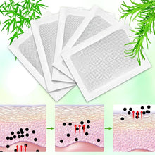 Load image into Gallery viewer, Herbal Detox Foot Pads