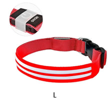 Load image into Gallery viewer, Dual Fiber Nighttime Luminous Dog Collar
