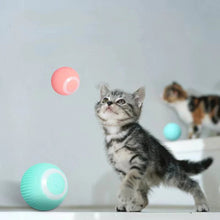 Load image into Gallery viewer, 【BIG SALE】Smart Cat Interactive Ball Toys