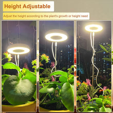 Load image into Gallery viewer, Indoor Plant Growth Light