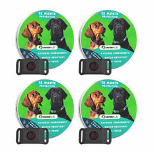 Load image into Gallery viewer, 12 Months Flea and Tick Free