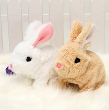 Load image into Gallery viewer, Interactive Toy Can Walk And Talk Electric Rabbit Toy
