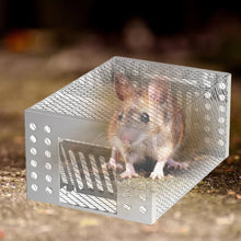 Load image into Gallery viewer, Automatic Mouse Trap Cage