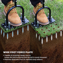 Load image into Gallery viewer, Improve Soil Health and Lawn Growth