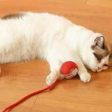 Load image into Gallery viewer, Indoor Cat Interactive Ball