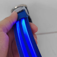 Load image into Gallery viewer, Dual Fiber Nighttime Luminous Dog Collar
