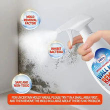 Load image into Gallery viewer, Fast Acting Anti-Mold Wall Cleaner Spray