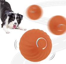 Load image into Gallery viewer, Indoor Cat Interactive Ball
