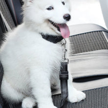 Load image into Gallery viewer, Adjustable Elastic Dog Seat Belt