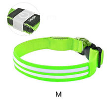 Load image into Gallery viewer, Dual Fiber Nighttime Luminous Dog Collar