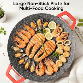 Non-Stick Electric BBQ Grill with Temperature Control