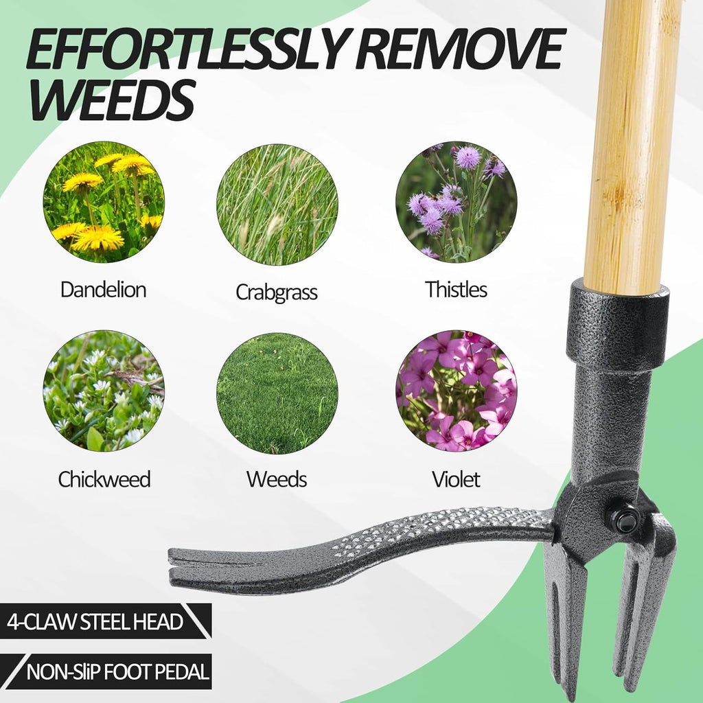 Weeder Tool
