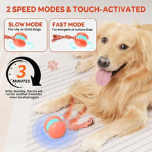 Load image into Gallery viewer, Interactive Dog Toys