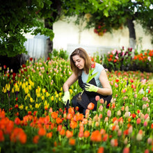 Load image into Gallery viewer, Garden Weed Pulling Tool