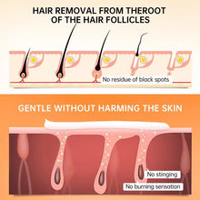 Load image into Gallery viewer, Gentle Hair Removal Cream for Sensitive Skin