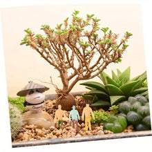 Load image into Gallery viewer, Random Color Mini Capsule Figurine