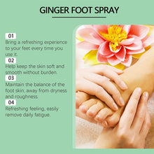 Load image into Gallery viewer, Feet Callus Remover