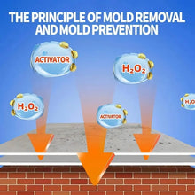 Load image into Gallery viewer, Fast Acting Anti-Mold Wall Cleaner Spray
