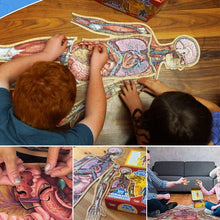 Load image into Gallery viewer, Human Anatomy Puzzle for Kids