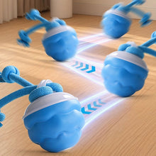 Load image into Gallery viewer, Interactive Smart Rolling Pet Ball