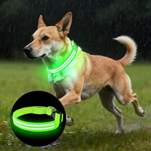 Load image into Gallery viewer, Dual Fiber Nighttime Luminous Dog Collar