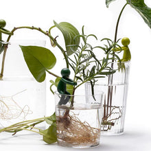 Load image into Gallery viewer, Plant Propagation Buddy
