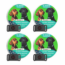 Load image into Gallery viewer, Sakerplus 12 Months Flea and Tick Free