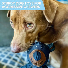 Load image into Gallery viewer, Mighty Bear Pet Toy
