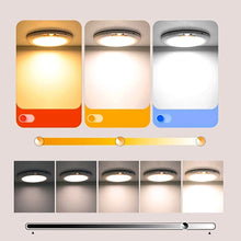 Load image into Gallery viewer, Motion Sensor Ceiling Light