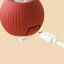 Load image into Gallery viewer, Indoor Cat Interactive Ball