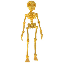 Load image into Gallery viewer, Skeleton Refrigerator Magnet