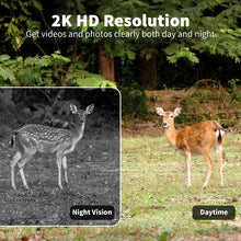 Load image into Gallery viewer, Solar camouflage camera