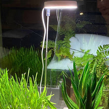 Load image into Gallery viewer, Indoor Plant Growth Light