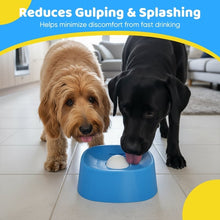 Load image into Gallery viewer, Slow-Feed Liquid Dog Bowls