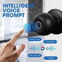 Load image into Gallery viewer, Sakerplus Biometric Door Lock