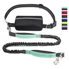 Load image into Gallery viewer, Hands Free Dog Leash With Zipper Pouch