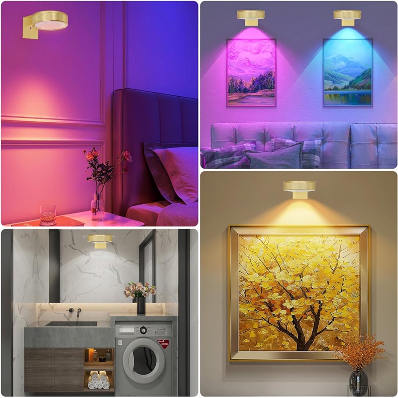 Picture Lights For Wall With 3 Color Temps - 3 Pack