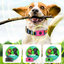 Load image into Gallery viewer, 12 Months Flea and Tick Free