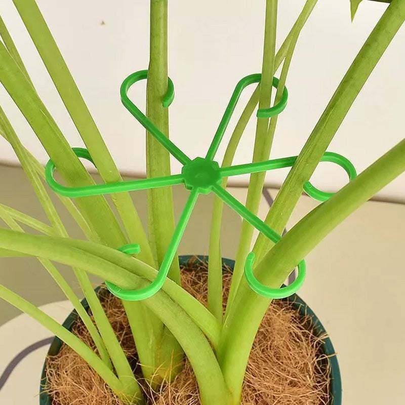 Monstera support retainer sets