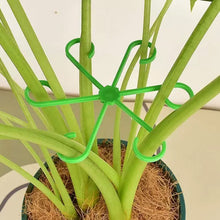 Load image into Gallery viewer, Monstera support retainer sets
