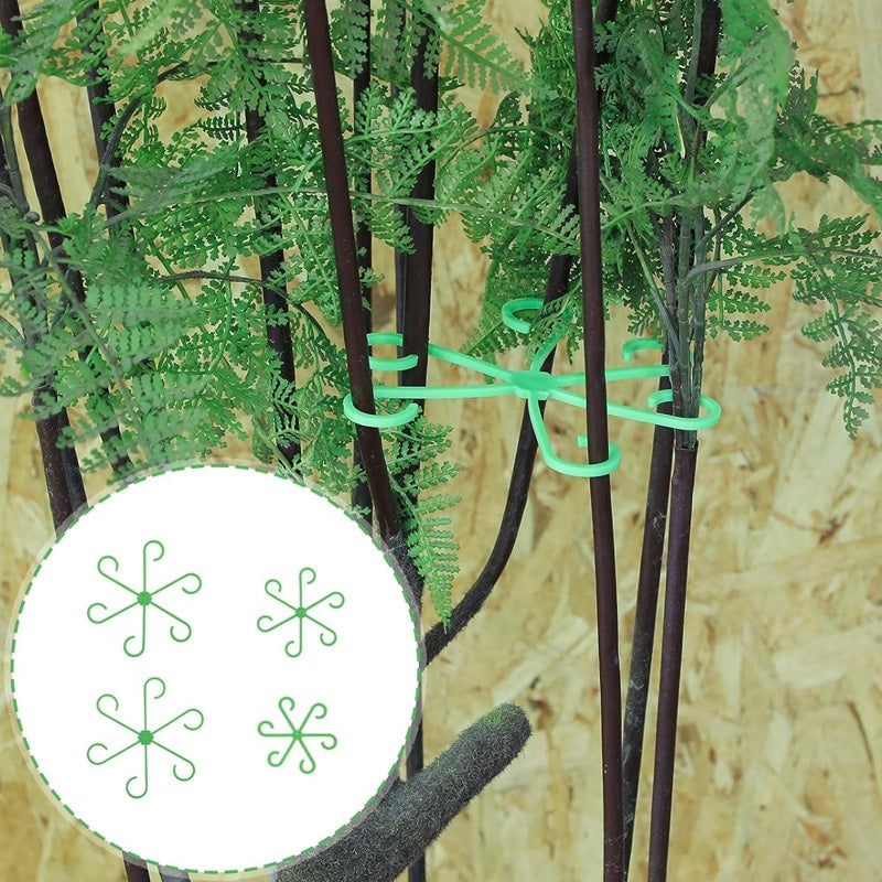 Monstera support retainer sets