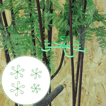 Load image into Gallery viewer, Monstera support retainer sets
