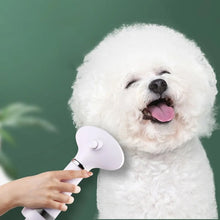 Load image into Gallery viewer, Pet Hair Dryer Brush