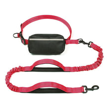 Load image into Gallery viewer, Hands Free Dog Leash With Zipper Pouch