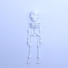 Load image into Gallery viewer, Skeleton Refrigerator Magnet