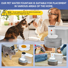Load image into Gallery viewer, Automatic Pet Water Fountain