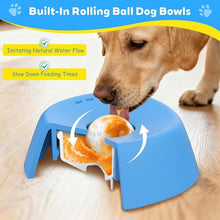 Load image into Gallery viewer, Slow-Feed Liquid Dog Bowls